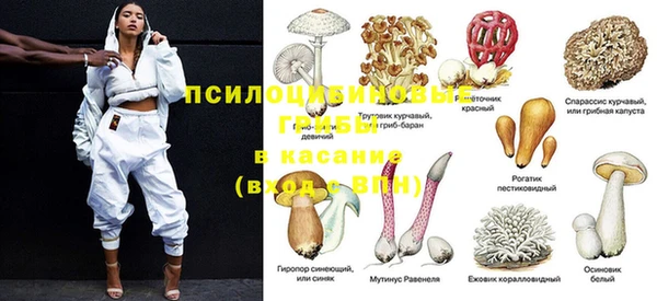 гидропоника Абаза